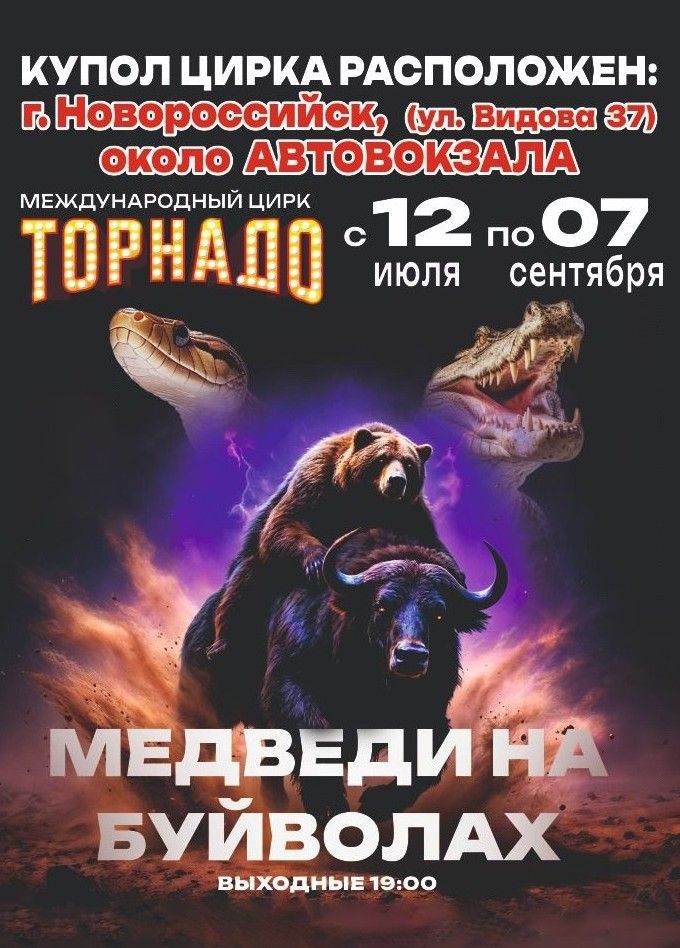 Цирк-шапито «Торнадо». Шоу «Медведи на буйволах»