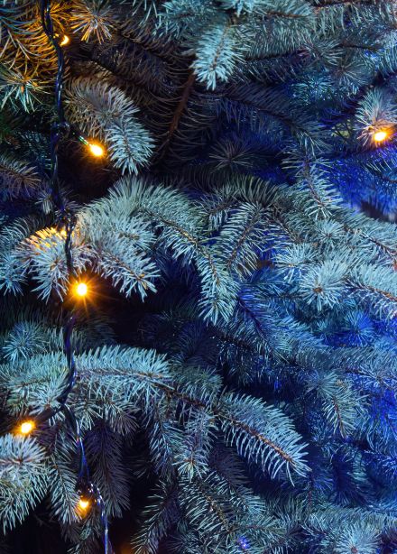 Дед Мороз и счастье для Тимоши