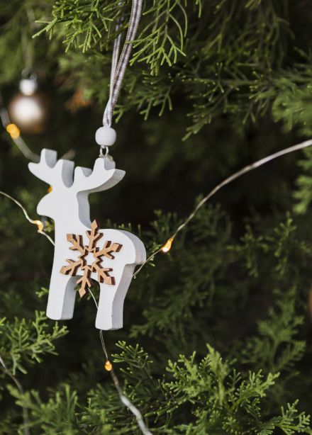 Тайна Чудо-Юда