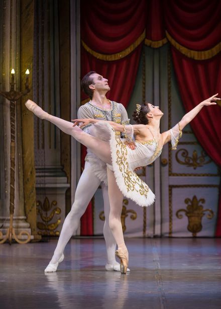 Спящая красавица